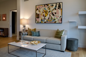 Buffalo Condo Interior design