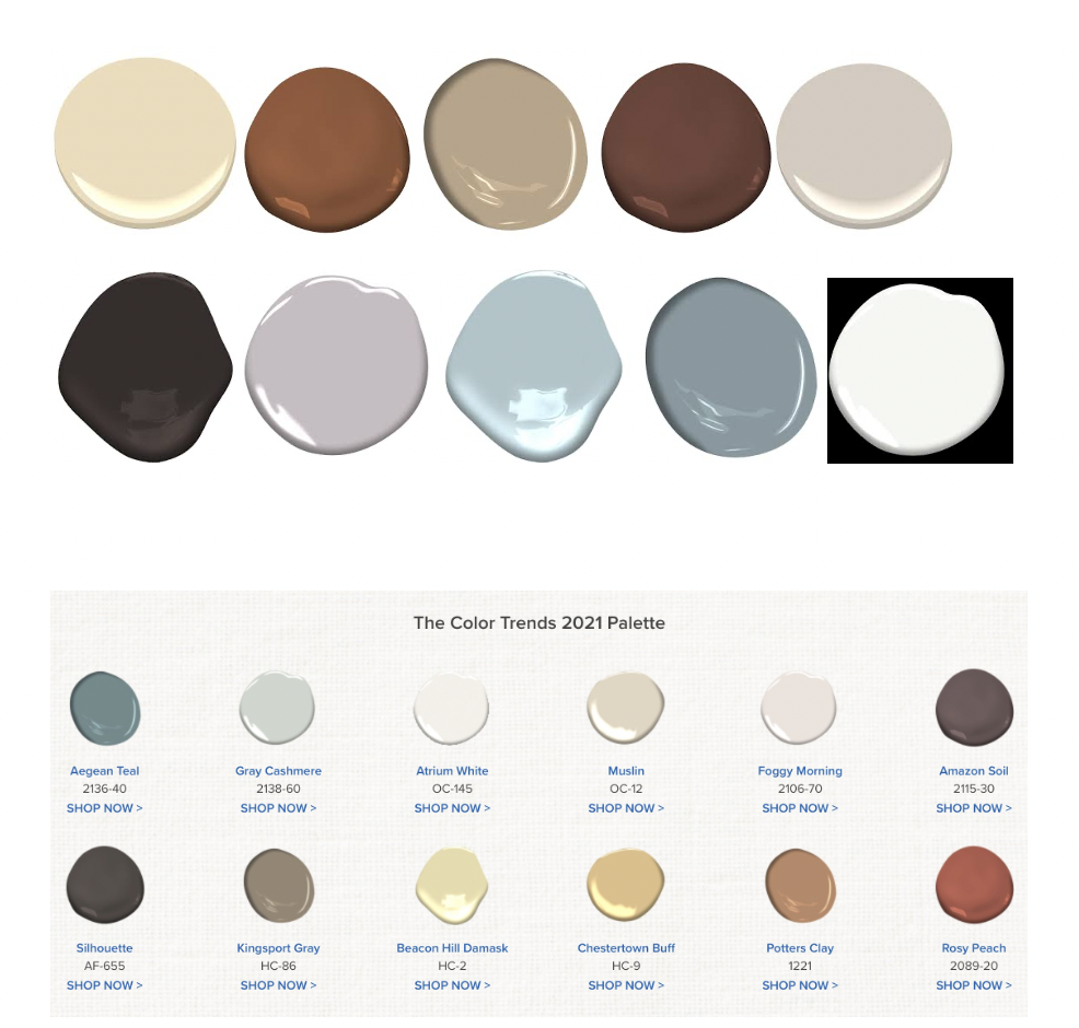 Paint Color Palette of the Year 2021 - Amykranecolor.com