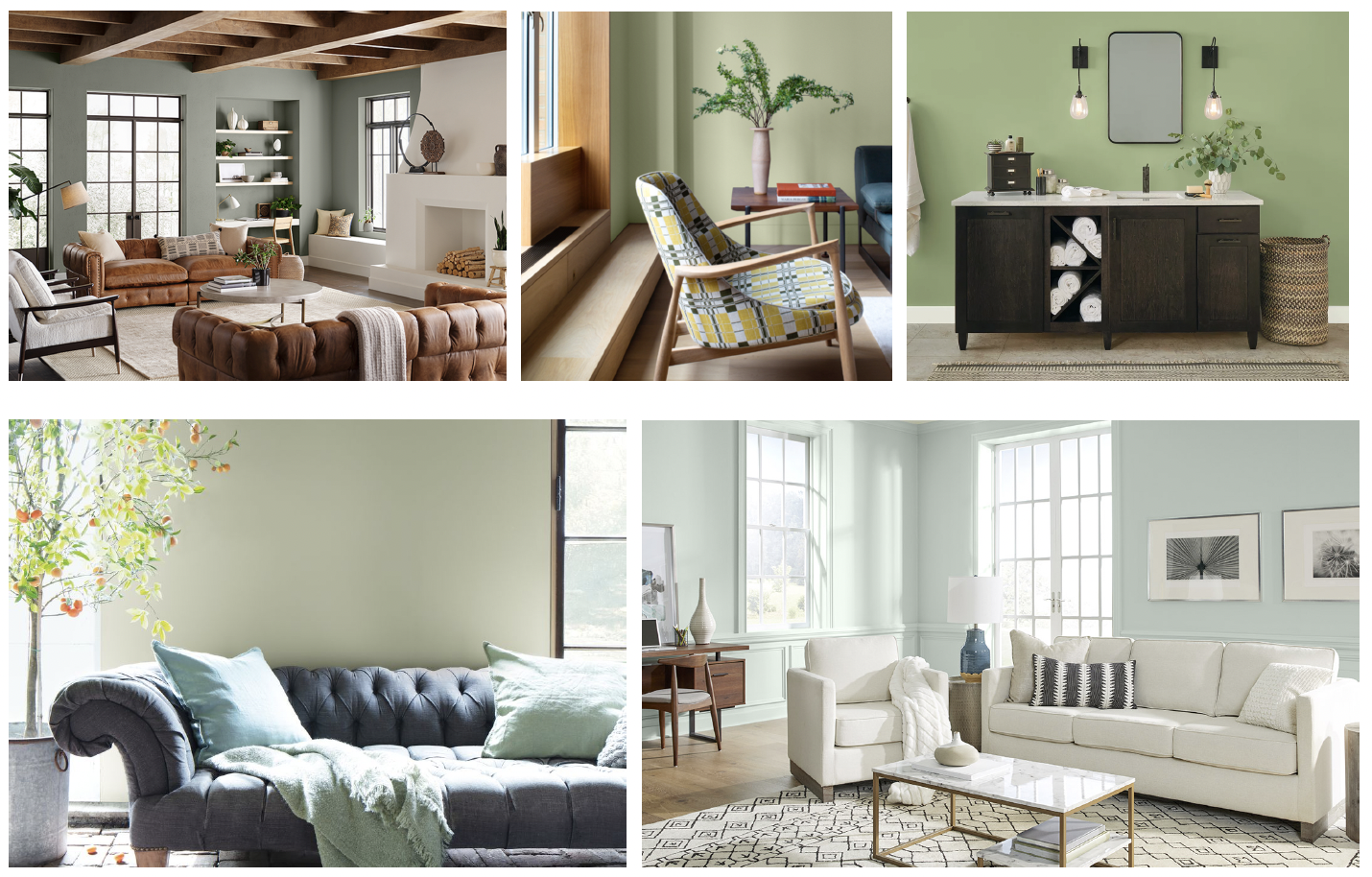 Best Shades of Green Wall Paint - Interior Trend - TrendBook Trend  Forecasting