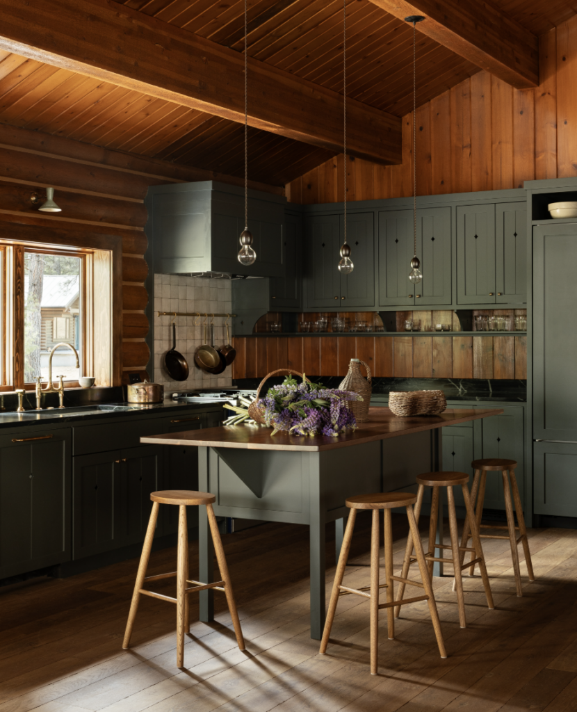 dark kitchen colors in a cabin