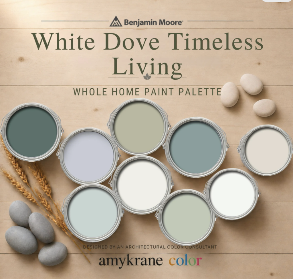 Benjamin Moore White Dove Paint Palette